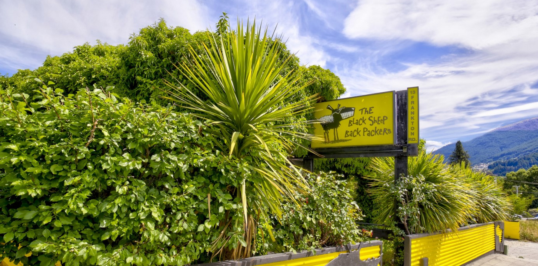 SV Black Sheep Ext 12