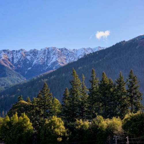 SV Black Sheep 10 v2