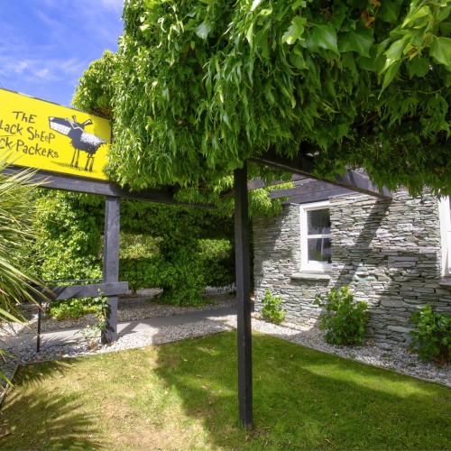 SV Black Sheep Ext 11